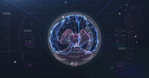 Digital Spinning Brain with Futuristic Elements - Download Free Stock Images Pikwizard.com