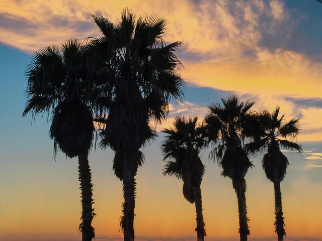 Silhouetted palm trees stand tall against a colorful and vibrant evening sky with a mix of yellow, orange, and blue hues, creating a serene Twilight. Ideal for use in travel brochures, inspirational posters, background images, and websites focusing on tropical destinations and nature scenes.