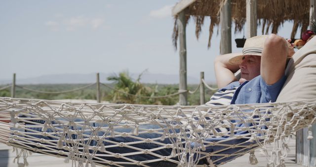 Older Man Relaxing in Hammock on Summery Day - Download Free Stock Images Pikwizard.com