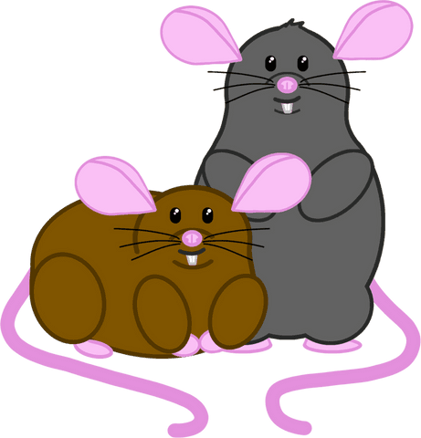 cute mice duo illustration on transparent background - Download Free Stock Videos Pikwizard.com