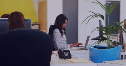 Professional Woman Working in Modern Office Environment - Download Free Stock Images Pikwizard.com
