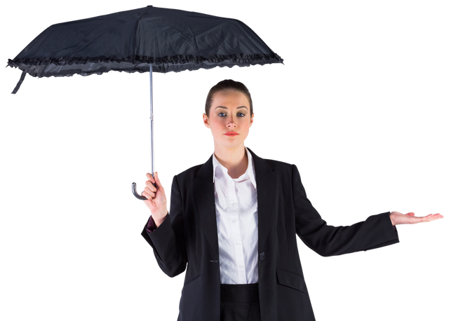 Businesswoman Holding Black Umbrella Transparent Background - Download Free Stock Videos Pikwizard.com