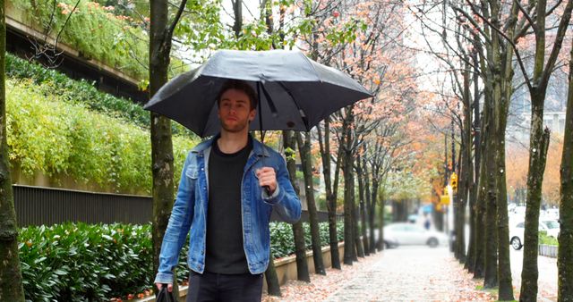 This stock photo of a young man walking with an open umbrella on a rainy autumn day in the city is perfect for themes related to weather, fashion, or urban life. The wet leaves on the ground and the overcast sky capture the essence of a wet and wavy fall day, making it ideal for use in marketing seasonal products, illustrating weather reports, or providing artistic visuals for blogs and articles about autumn or urban experiences.