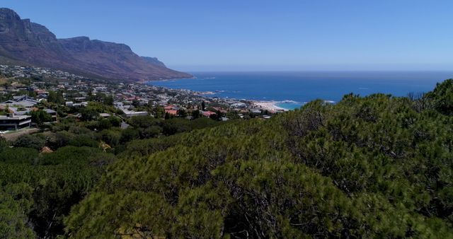 Scenic Aerial View of Coastal Town with Ocean and Mountain - Download Free Stock Images Pikwizard.com