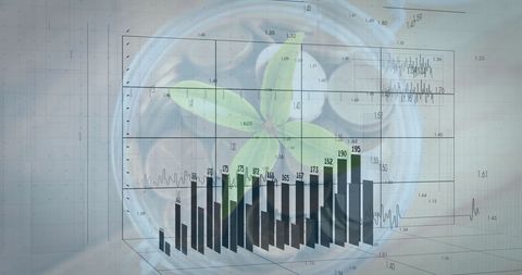 Financial Analytics with Plant Growth Concept