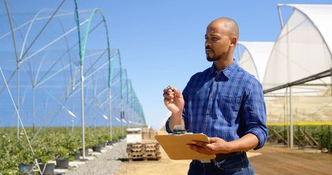 Agricultural specialist monitoring crop growth in field