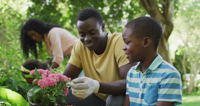 Father and son gardening together with mother in background. Perfect for promoting family activities, outdoor hobbies, nature appreciation, and teamwork among African American families. Suitable for websites about gardening, family bonding, or summer activities.