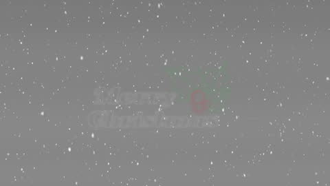 Elegant Christmas Animation with Snowflakes and Festive Messaging