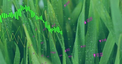 Eco-friendly Data Visualization on Dewy Grass Background