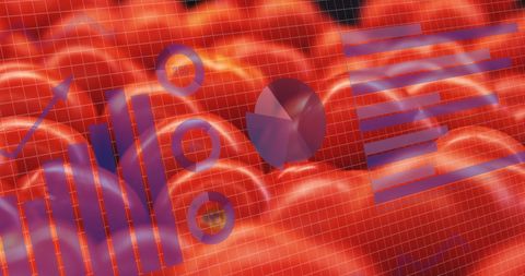 Digital Data Visualization Overlaid on Fresh Tomatoes