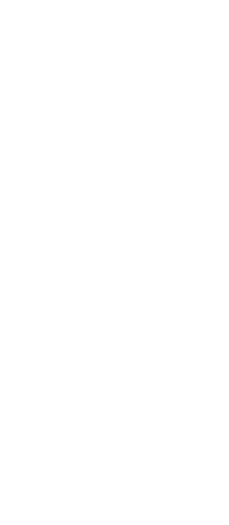 Silhouette of Businesswoman Holding Poster on Transparent Background