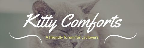 Kitty Comforts Cat Lovers Forum Banner
