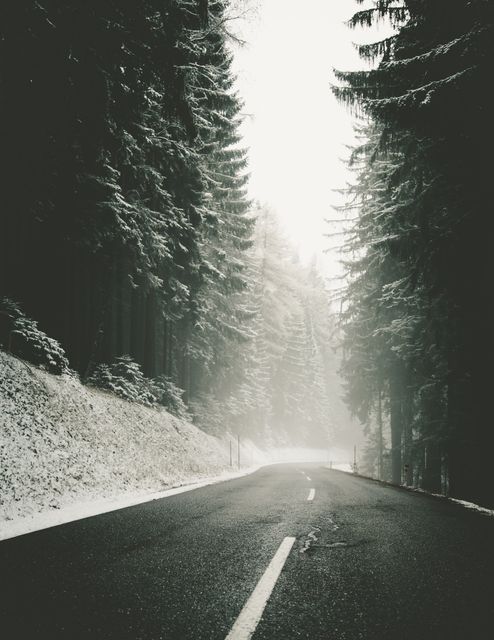 Image of a deserted road winding through a snowy forest with tall evergreen trees. The road is free of snow but surrounded by snow-covered trees, creating a peaceful and serene winter landscape. Ideal for use in articles or promotions related to winter travel, holiday themes, tranquil nature scenes, and scenic drives. Suitable for travel blogs, seasonal advertisements, and nature-related content.