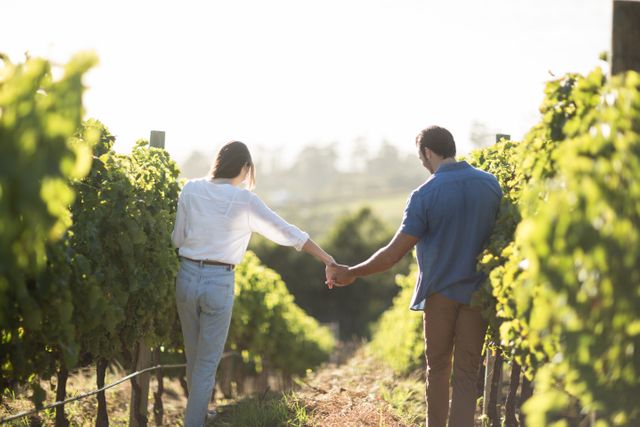 This image captures a couple holding hands while walking through a lush vineyard on a sunny day. Ideal for use in advertisements, travel brochures, romantic getaway promotions, lifestyle blogs, and articles about relationships, nature, or rural living.
