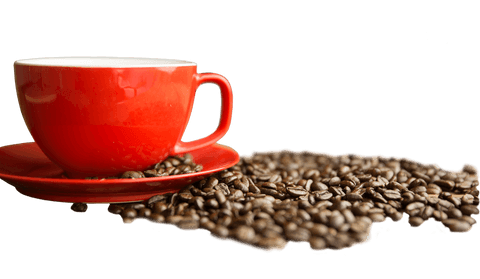 red cup with coffee beans on transparent background illustration - Download Free Stock Videos Pikwizard.com