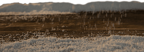Winter Landscape with Snow on Transparent Background - Download Free Stock Videos Pikwizard.com