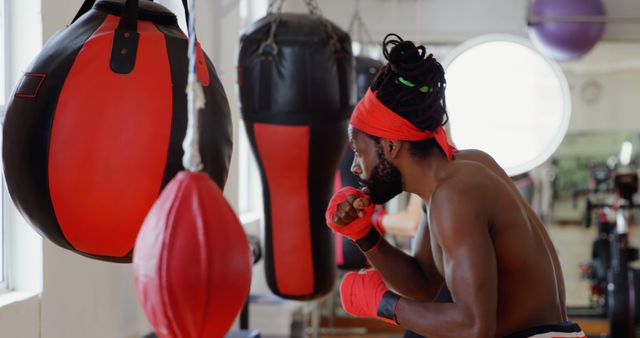 Young Afro-Trinidadian Man Training with Punching Bag in Gym - Download Free Stock Images Pikwizard.com