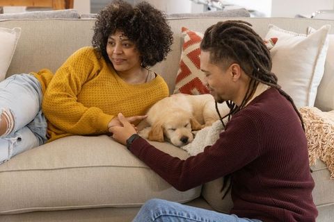 Couple relaxing on cozy sofa with sleeping golden retriever puppy, mustard and burgundy sweaters, co