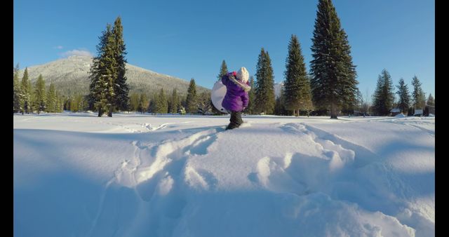 Child in winter clothing rolling a large snowball in a snowy, scenic landscape with trees and mountains in the background. Ideal for promoting outdoor winter activities, children's clothing, or family trips.