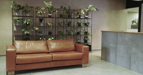 Contemporary lobby with leather sofa and plant shelving