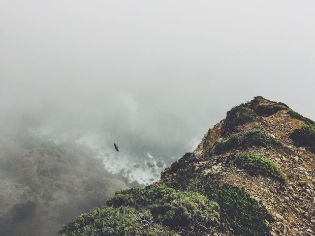 Lone bird soars over foggy cliffside above ocean, emphasizing solitude and stark nature. Useful for themes of solitude, nature, freedom, wilderness, and dramatic, atmospheric scenes. Ideal for nature-related content or environmental awareness projects.