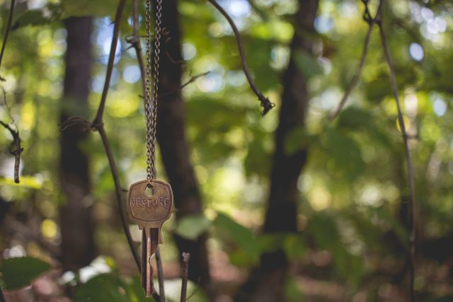 Old key hanging from tree branch in mystical forest, evoking feelings of discovery and hidden secrets. Ideal for use in fantasy or adventure-themed projects, storytelling, nature exploration, escape rooms, and mysterious marketing campaigns.