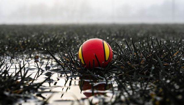 Red and yellow rubber ball sitting in dewy grass reflecting in rain puddle at dawn