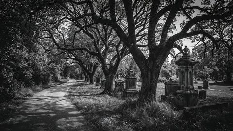 Alleyway with Tombstones Under Majestic Oaks