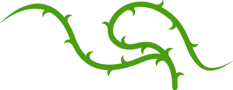 Organic vine motif with thorned tendrils on transparent
