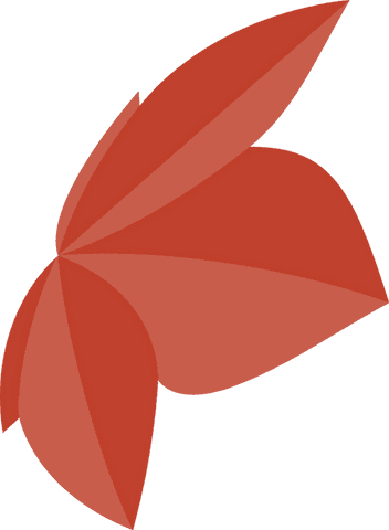 Minimalistic red petal-shaped design on transparent background
