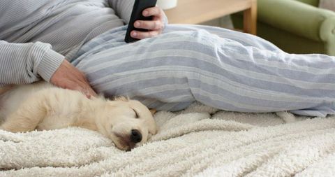 Mature man reclining in striped pajamas petting sleeping golden pup holding smartphone