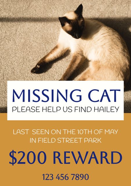 Poster featuring missing cat information with a reward offered. Ideal for those looking to create effective lost pet campaigns. Contains clear sections for reward details, last seen location, and contact number for easy communication and heightened visibility in public places. Useful for community bulletin boards, social media shares, and neighborhood notifications.
