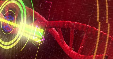 Digital Interface and DNA Strand Integration