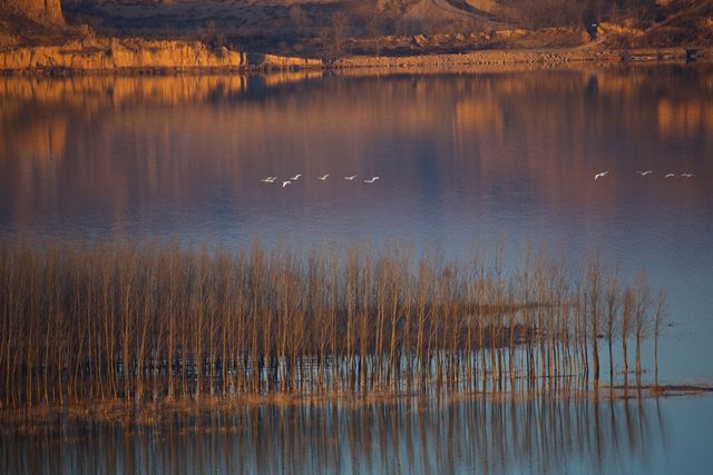 Birds flying over a serene lake at dawn with vibrant reflections of the landscape. Ideal for nature-themed designs, backgrounds, or travel brochures highlighting tranquil settings. Useful for promoting relaxation, serenity, and natural beauty.