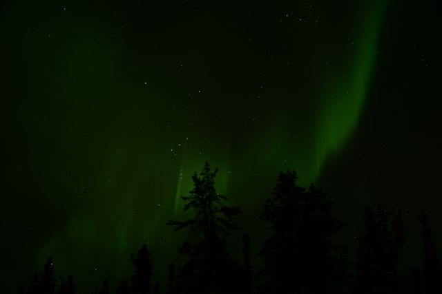 The photo captures the mesmerizing Northern Lights in shades of green glowing in a dark, starry night sky over forest silhouettes. Ideal for use in travel blogs, nature magazines, or as a visual aid in articles about natural wonders and celestial phenomena.