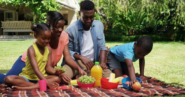 Happy African American Family Having Picnic in Park - Download Free Stock Images Pikwizard.com