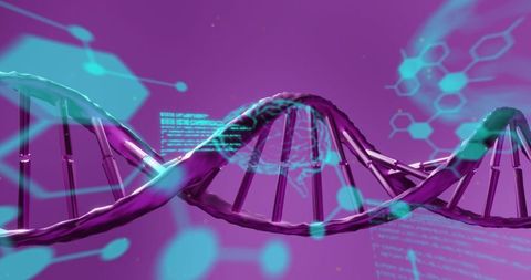 Digital Art of DNA Strand with Technological Interface - Download Free Stock Images Pikwizard.com