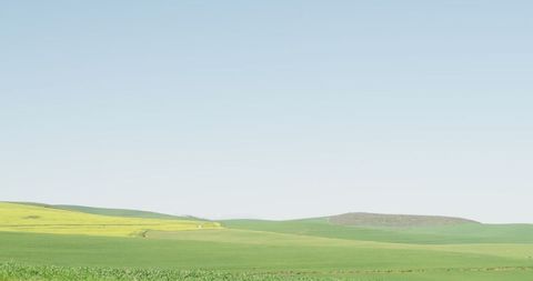 Sunny Meadow and Rolling Hills Under Spacious Sky - Download Free Stock Images Pikwizard.com