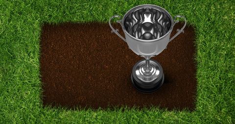 Silver trophy on grass field with festive confetti above