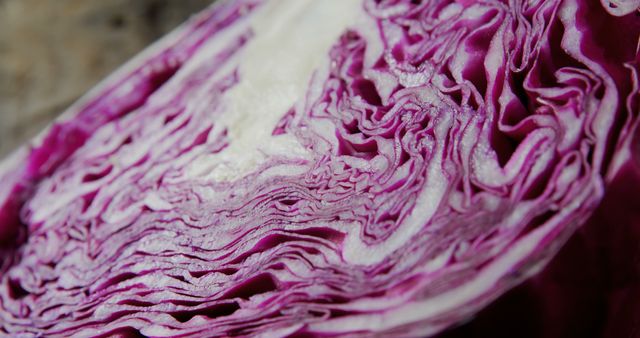 Close-up of the intricate patterns and textures of a sliced red cabbage, with copy space. Its vibrant purple hues and layered structure provide a natural example of fractal-like patterns in vegetables.