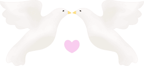 Transparent minimal design of white doves capturing symmetry and serenity