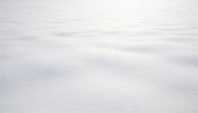 Minimal snow blanket revealing soft ripples and frost texture, monochrome blank expanse