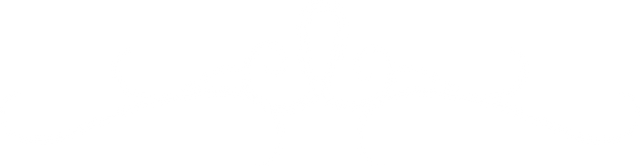 Elegant White Swirl Scroll Design on Transparent Background - Download Free Stock Videos Pikwizard.com