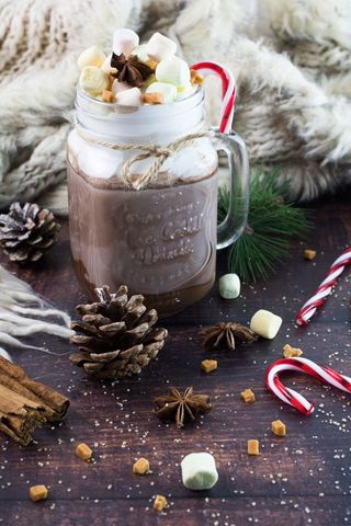 Cozy Hot Chocolate with Marshmallows and Winter Decor