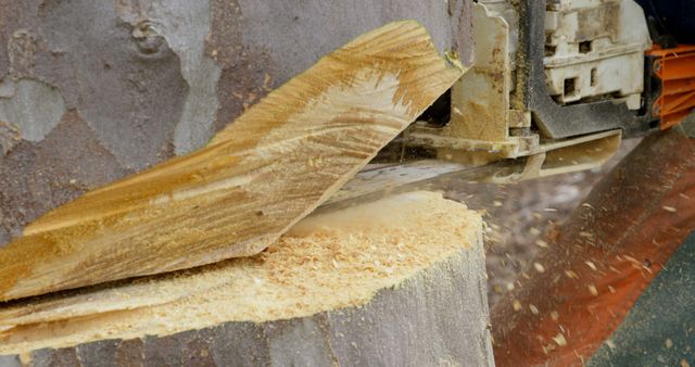 Close-Up of Chainsaw Cutting Through Wooden Log - Download Free Stock Images Pikwizard.com