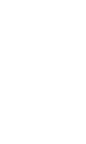 Transparent Silhouette of Woman with Ponytail Facing Forward