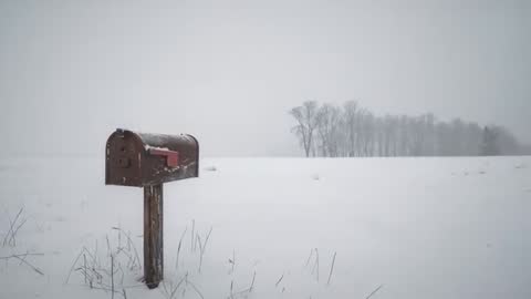 Panning across weathered mailbox in snowy field, snow falling, distant bare trees
