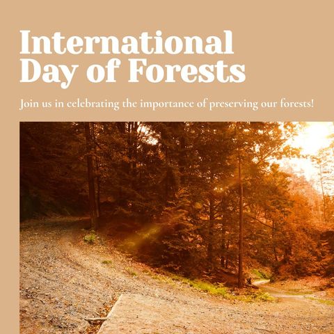 celebrating international day of forests at sunset - Download Free Stock Templates Pikwizard.com