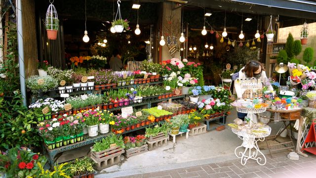 Floral Shop with Assorted Blooms and Outdoor Display - Download Free Stock Photos Pikwizard.com