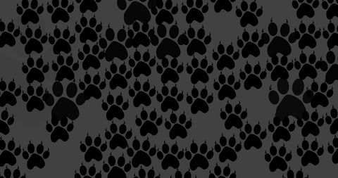 Black Dog Paw Prints on Dark Grey Background for Pet Themed Designs - Download Free Stock Images Pikwizard.com